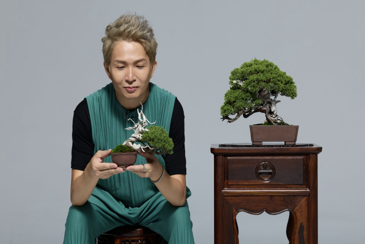 丹尼老師的盆栽教科書 ｜隨時隨地陪你成長 36堂課解決你植栽所有疑難雜症